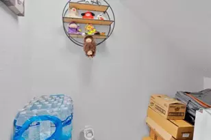 5520 Silver Sun Dr, Apollo Beach, FL 33572 - Photo 44