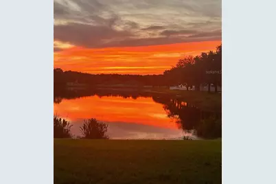 18022 Lake Reflections Boulevard, Lutz, FL 33558 - Photo 2