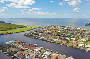 919 Chipaway Dr, Apollo Beach, FL 33572 - Photo 48