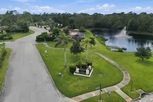 5041 Paloma Dr, Tampa, FL 33624 - Photo 84