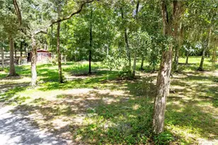 24142 Tamber Rd, Brooksville, FL 34602 - Photo 68