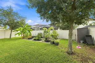 8096 Seagarden Ln, Land O Lakes, FL 34637 - Photo 34