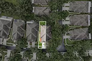 19126 White Wing Pl, Tampa, FL 33647 - Photo 36
