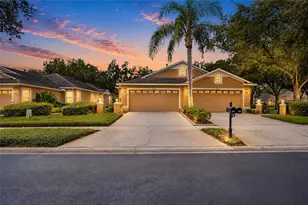 19126 White Wing Pl, Tampa, FL 33647 - Photo 1