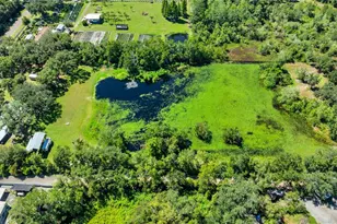 5753 N Dormany Rd, Plant City, FL 33565 - Photo 48