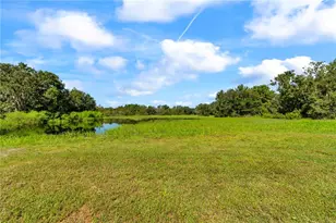 5753 N Dormany Rd, Plant City, FL 33565 - Photo 64