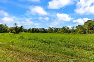 5753 N Dormany Rd, Plant City, FL 33565 - Photo 62