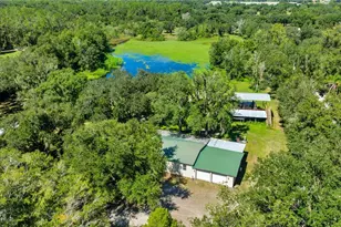 5753 N Dormany Rd, Plant City, FL 33565 - Photo 58