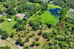 5753 N Dormany Rd, Plant City, FL 33565 - Photo 50