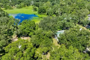 5753 N Dormany Rd, Plant City, FL 33565 - Photo 56