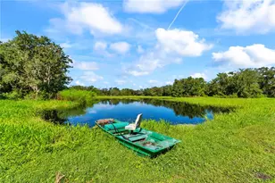 5753 N Dormany Rd, Plant City, FL 33565 - Photo 66
