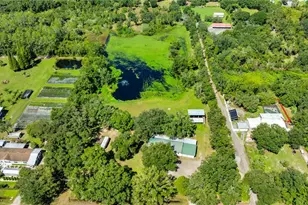 5753 N Dormany Rd, Plant City, FL 33565 - Photo 46