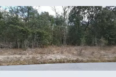 0 SE 88th Ct, Summerfield, FL 34491 - Photo 2