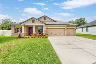11020 Brahman Ranch Cir, Riverview, FL 33578 - Photo 1