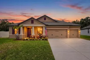 11020 Brahman Ranch Cir, Riverview, FL 33578 - Photo 1