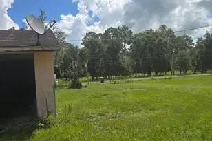 4511 E Keysville Rd, Lithia, FL 33547 - Photo 6