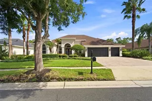 23610 Gracewood Cir, Land O Lakes, FL 34639 - Photo 1