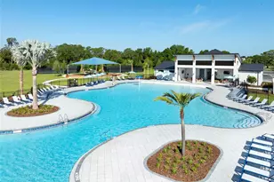 8839 Ginko Run, Parrish, FL 34219 - Photo 26
