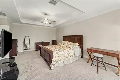 21590 Violet Periwinkle Drive, Land O Lakes, FL 34637 - Photo 24