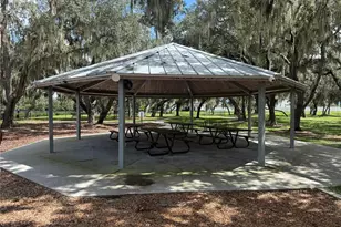 12937 Satin Lily Dr, Riverview, FL 33579 - Photo 30