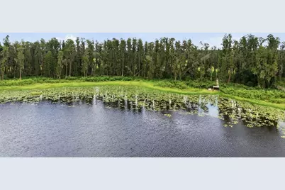 0 Alderman Road #1, Wimauma, FL 33598 - Photo 36