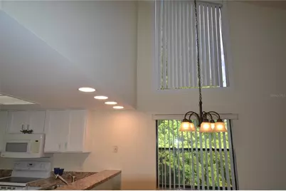 226 Woodlake Wynde, Oldsmar, FL 34677 - Photo 14