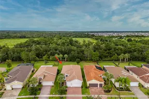 16126 Cedar Key Dr, Wimauma, FL 33598 - Photo 58