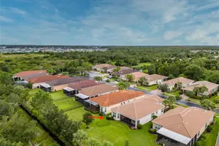 16126 Cedar Key Dr, Wimauma, FL 33598 - Photo 54