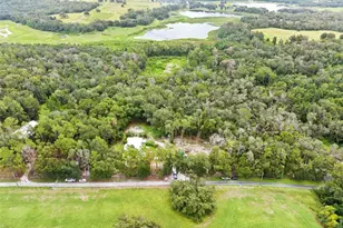 1164 Katie Wood Trail, Brooksville, FL 34602 - Photo 72