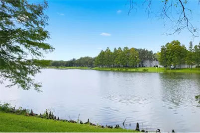 18112 Longwater Run Drive, Tampa, FL 33647 - Photo 64