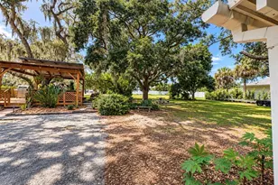 224 Albert St, Dunedin, FL 34698 - Photo 30