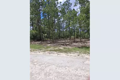 14167 Condor Road, Weeki Wachee, FL 34614 - Photo 6