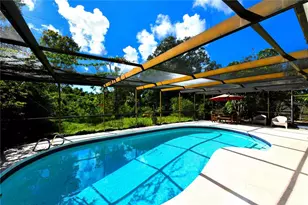 2529 Indigo Dr, Dunedin, FL 34698 - Photo 60