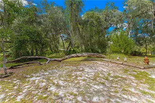 7434 E Cabin Ln, Inverness, FL 34453 - Photo 56