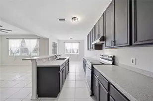 11139 Golden Silence Dr, Riverview, FL 33579 - Photo 14