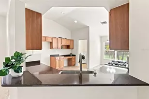 24132 Denali Ct, Lutz, FL 33559 - Photo 8