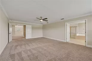10702 Pleasant Knoll Dr, Tampa, FL 33647 - Photo 28