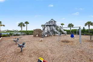 498 Olive Conch St, Ruskin, FL 33570 - Photo 22