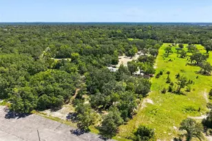 341 Suncoast Blvd, Spring Hill, FL 34608 - Photo 50
