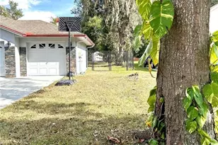 12221 Anne Kenia Dr, Thonotosassa, FL 33592 - Photo 56