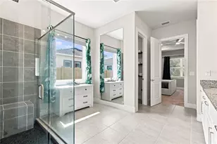 8699 Ivy Stark Blvd, Wesley Chapel, FL 33545 - Photo 48