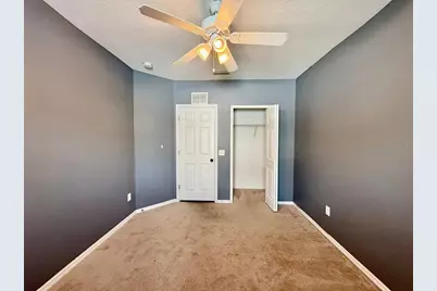 3421 Santa Rita Lane, Land O Lakes, FL 34639 - Photo 18