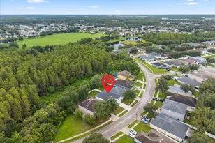 3336 Bellericay Ln, Land O Lakes, FL 34638 - Photo 80