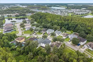 3336 Bellericay Ln, Land O Lakes, FL 34638 - Photo 86