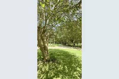 6800 NW Highway 320, Micanopy, FL 32667 - Photo 48