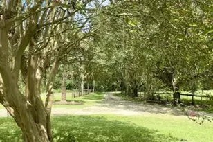 6800 NW Hwy 320, Micanopy, FL 32667 - Photo 48
