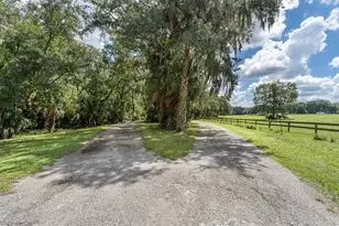 24201 Oaks Blvd, Land O Lakes, FL 34639 - Photo 68