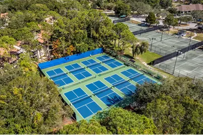 128 Nancy Drive, Oldsmar, FL 34677 - Photo 48