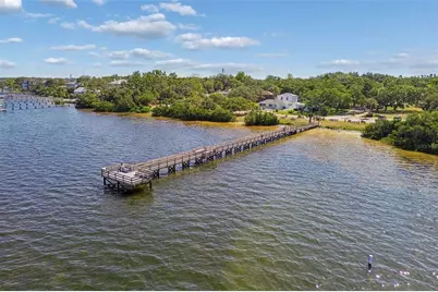 389 Georgia Avenue, Crystal Beach, FL 34681 - Photo 64