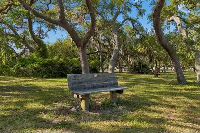 389 Georgia Avenue, Crystal Beach, FL 34681 - Photo 74